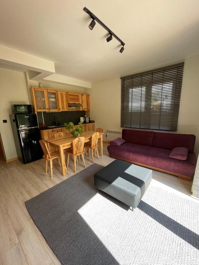 Apartament Zakopane Willa Hrube Parter Z Tarasem I Kominkiem Екстер'єр фото