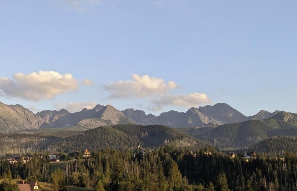 Apartament Zakopane Willa Hrube Parter Z Tarasem I Kominkiem Екстер'єр фото